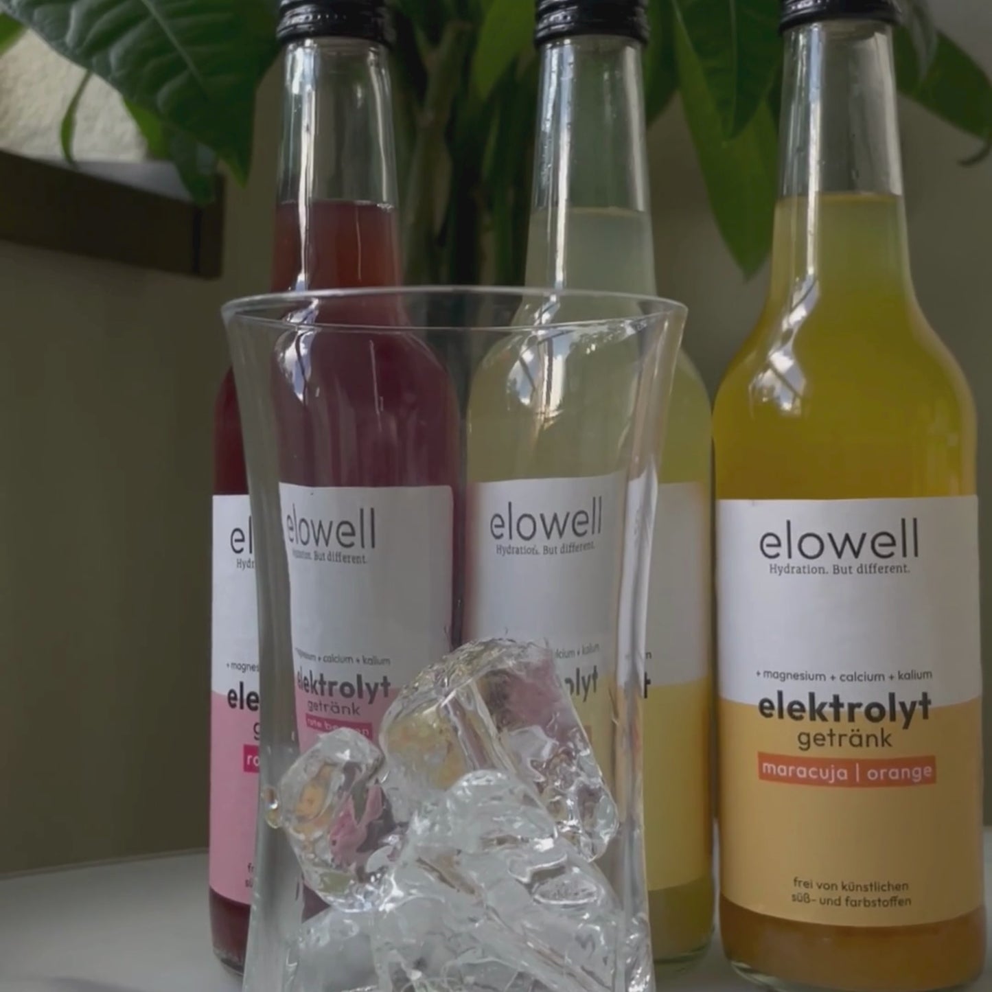 elowell Probierpaket